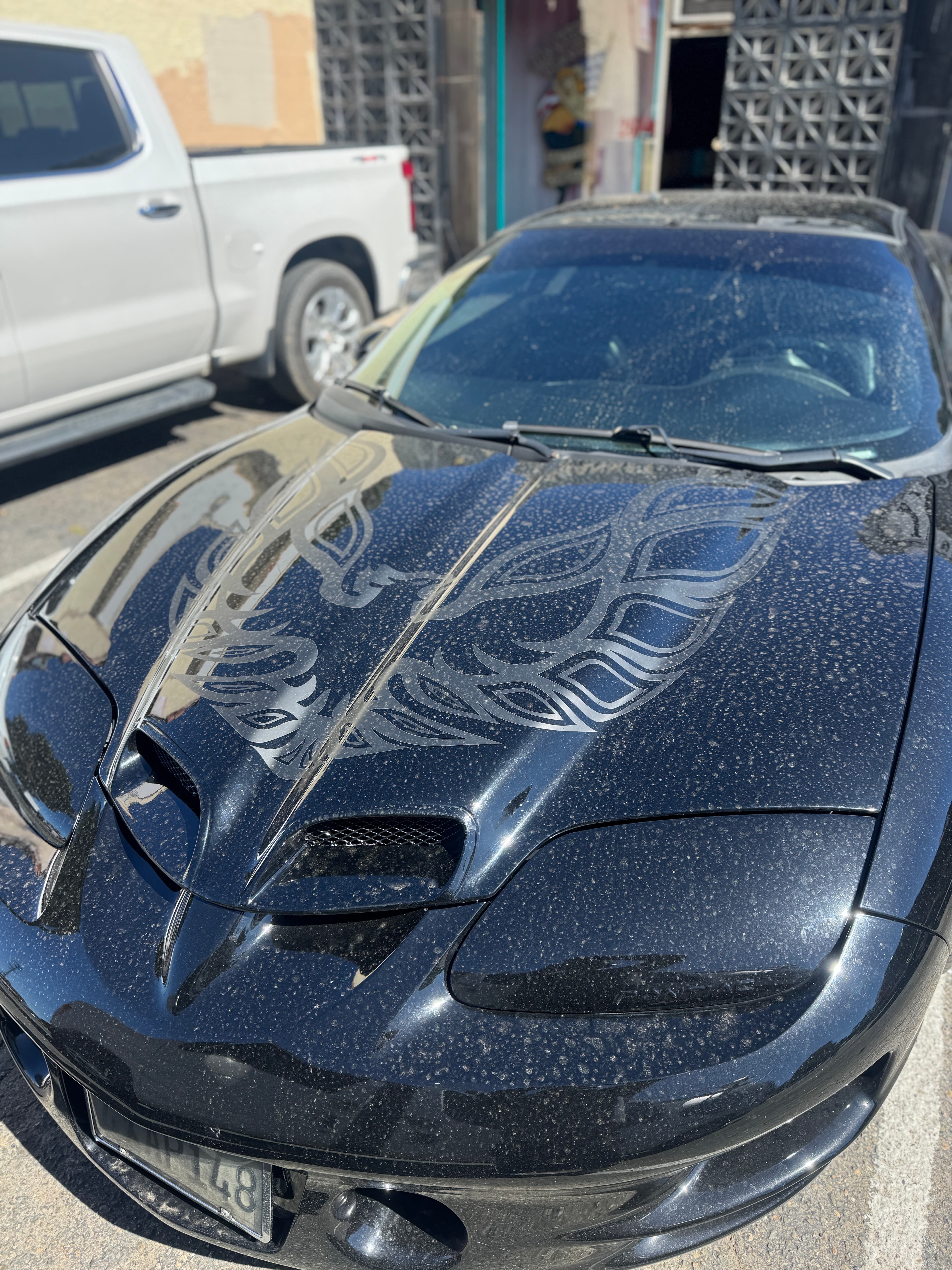 Before – Paint restoration detail