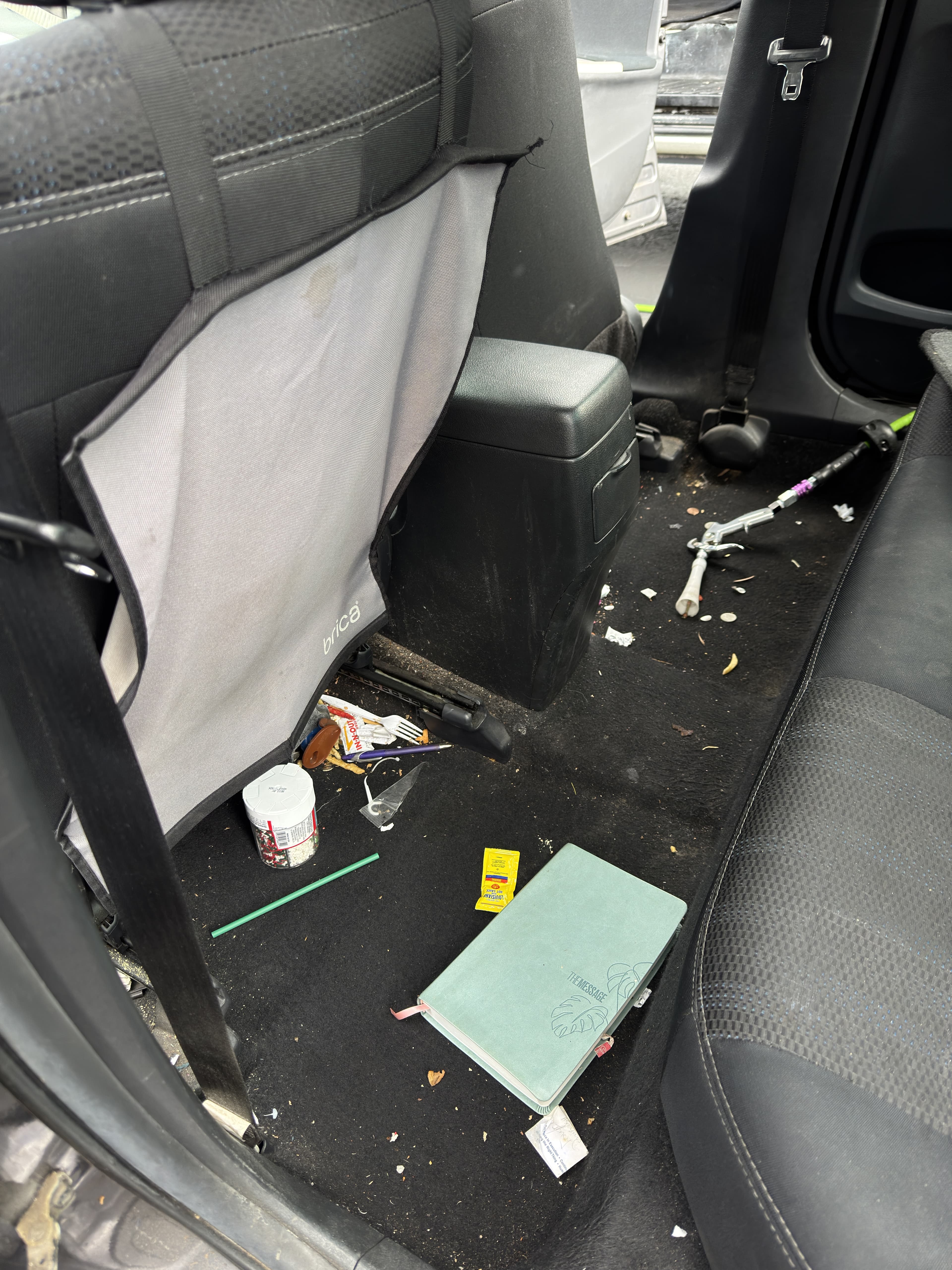 Before – Backseat deep clean